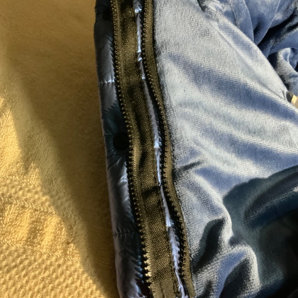 Dog Pet Puffy - Picture 7 of 9